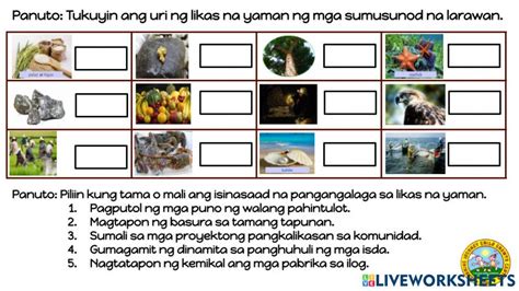 Likas Na Yaman Worksheets .
